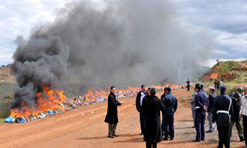 إتلاف أزيد من أربعة أطنان من المخدرات بوجدة إتلاف أزيد من أربعة أطنان من المخدرات بوجدة