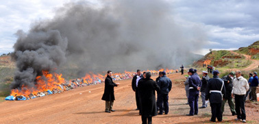 صورة من الأرشيف صورة من الأرشيف