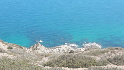 دراج يوثق بالصوت و الصور مشاهد طبيعية نادرة من منطقة تيبودا الشاطئية دراج يوثق بالصوت و الصور مشاهد طبيعية نادرة من منطقة تيبودا الشاطئية