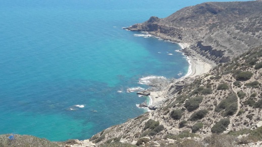 دراج يوثق بالصوت و الصور مشاهد طبيعية نادرة من منطقة تيبودا الشاطئية دراج يوثق بالصوت و الصور مشاهد طبيعية نادرة من منطقة تيبودا الشاطئية