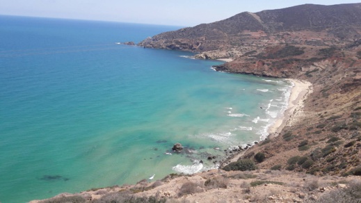 دراج يوثق بالصوت و الصور مشاهد طبيعية نادرة من منطقة تيبودا الشاطئية دراج يوثق بالصوت و الصور مشاهد طبيعية نادرة من منطقة تيبودا الشاطئية