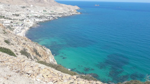 دراج يوثق بالصوت و الصور مشاهد طبيعية نادرة من منطقة تيبودا الشاطئية دراج يوثق بالصوت و الصور مشاهد طبيعية نادرة من منطقة تيبودا الشاطئية