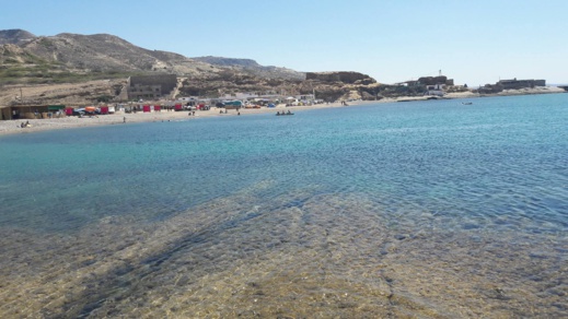 دراج يوثق بالصوت و الصور مشاهد طبيعية نادرة من منطقة تيبودا الشاطئية دراج يوثق بالصوت و الصور مشاهد طبيعية نادرة من منطقة تيبودا الشاطئية