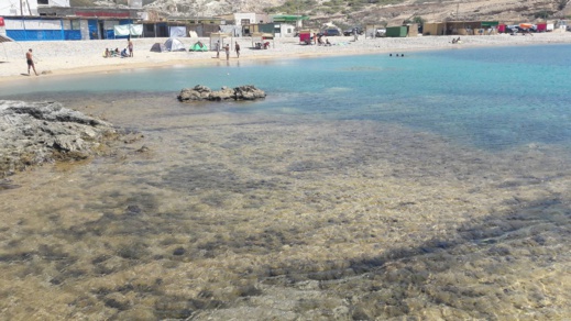 دراج يوثق بالصوت و الصور مشاهد طبيعية نادرة من منطقة تيبودا الشاطئية دراج يوثق بالصوت و الصور مشاهد طبيعية نادرة من منطقة تيبودا الشاطئية