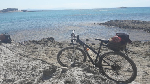 دراج يوثق بالصوت و الصور مشاهد طبيعية نادرة من منطقة تيبودا الشاطئية دراج يوثق بالصوت و الصور مشاهد طبيعية نادرة من منطقة تيبودا الشاطئية