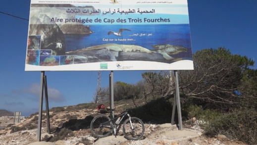 دراج يوثق بالصوت و الصور مشاهد طبيعية نادرة من منطقة تيبودا الشاطئية دراج يوثق بالصوت و الصور مشاهد طبيعية نادرة من منطقة تيبودا الشاطئية