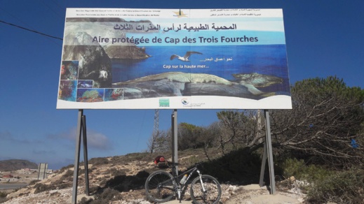 دراج يوثق بالصوت و الصور مشاهد طبيعية نادرة من منطقة تيبودا الشاطئية دراج يوثق بالصوت و الصور مشاهد طبيعية نادرة من منطقة تيبودا الشاطئية