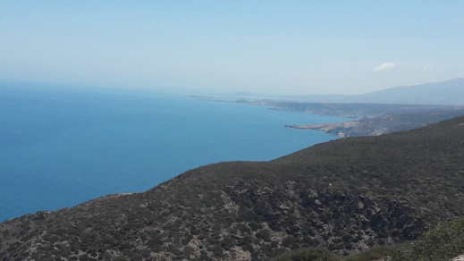 دراج يوثق بالصوت و الصور مشاهد طبيعية نادرة من منطقة تيبودا الشاطئية دراج يوثق بالصوت و الصور مشاهد طبيعية نادرة من منطقة تيبودا الشاطئية