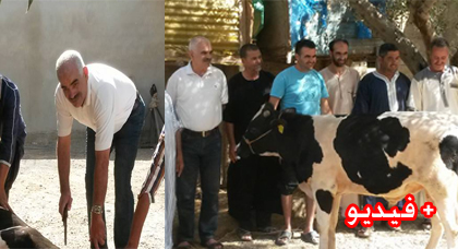 رئيس جماعة سابق نواحي تمسمان يذبح ثورا بعد إستفادة دواوير بطريق معبدة تناهز ال5 ملايير سنتيم رئيس جماعة سابق نواحي تمسمان يذبح ثورا بعد إستفادة دواوير بطريق معبدة تناهز ال5 ملايير سنتيم