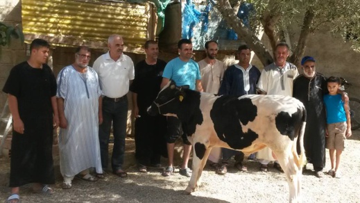 رئيس جماعة سابق نواحي تمسمان يذبح ثورا بعد إستفادة دواوير بطريق معبدة تناهز ال5 ملايير سنتيم