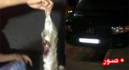 ضبط شخص يزاول القنص بطريقة عشوائية تحت جنح الظلام بجماعة بني سيدال ضبط شخص يزاول القنص بطريقة عشوائية تحت جنح الظلام بجماعة بني سيدال