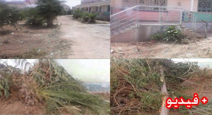 جهات غير معروفة ترتكب جريمة بيئية في حق فضاء ايكولوجي داخل مدرسة اعواذن الكائنة بحي براقة الناظور جهات غير معروفة ترتكب جريمة بيئية في حق فضاء ايكولوجي داخل مدرسة اعواذن الكائنة بحي براقة الناظور