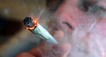 دراسة كندية : الحشيش يسبب الكسل الدائم و عجزا في إتخاذ القرارات