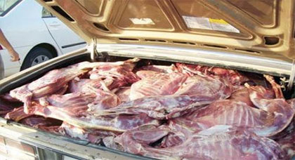 ضبط 90 كيلوغرام من اللحوم الحمراء بحوزة شخص كان يعتزم  إدخالها إلى بني أنصار