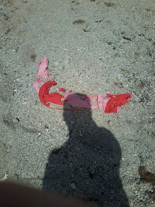 مواطنون لناظورسيتي: النفايات والمخلفات تشوه جمالية شاطئ "دشارانا" بجماعة بني شيكر مواطنون لناظورسيتي: النفايات والمخلفات تشوه جمالية شاطئ "دشارانا" بجماعة بني شيكر