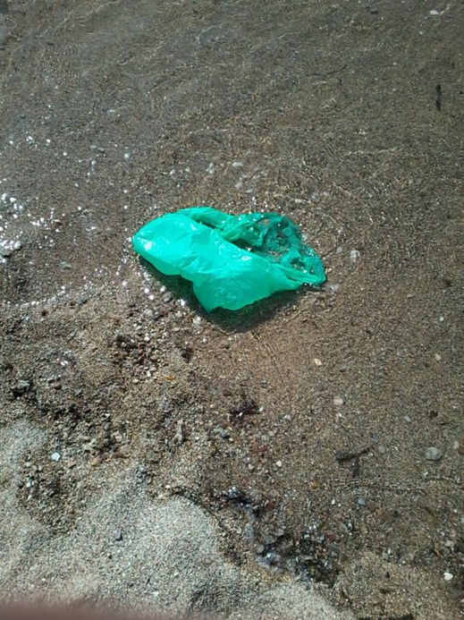 مواطنون لناظورسيتي: النفايات والمخلفات تشوه جمالية شاطئ "دشارانا" بجماعة بني شيكر