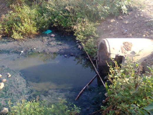 كارثة بيئية ببحيرة مارتشيكا تهدّد حياة ساكنة ترقاع كارثة بيئية ببحيرة مارتشيكا تهدّد حياة ساكنة ترقاع