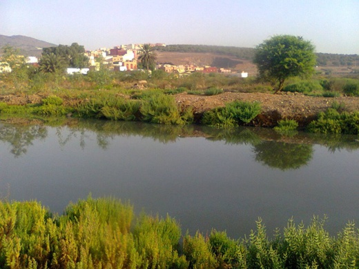 كارثة بيئية ببحيرة مارتشيكا تهدّد حياة ساكنة ترقاع كارثة بيئية ببحيرة مارتشيكا تهدّد حياة ساكنة ترقاع