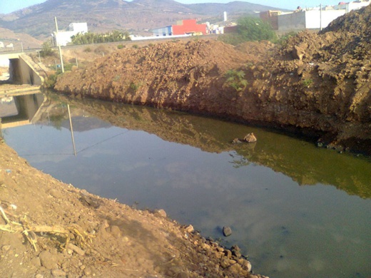 كارثة بيئية ببحيرة مارتشيكا تهدّد حياة ساكنة ترقاع كارثة بيئية ببحيرة مارتشيكا تهدّد حياة ساكنة ترقاع