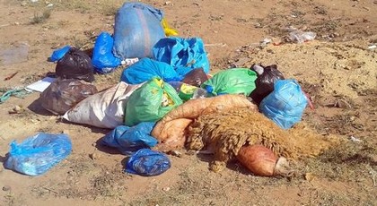 رغم منعها.. الميكا تعود بقوة في العيد والمواطنون يعتبرون أن لا بديل لها رغم منعها.. الميكا تعود بقوة في العيد والمواطنون يعتبرون أن لا بديل لها
