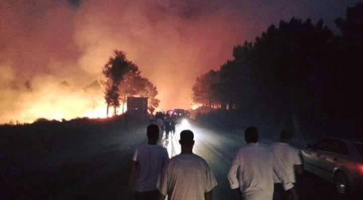 بالفيديو.. حريق مهول يأتي على أزيد من 60 هكتارا من الغطاء الغابوي بمنطقة باب تازة 