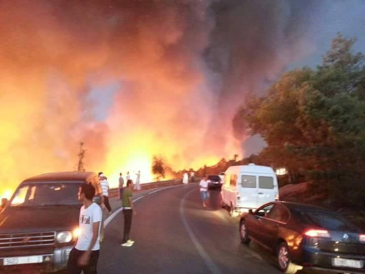 بالفيديو.. حريق مهول يأتي على أزيد من 60 هكتارا من الغطاء الغابوي بمنطقة باب تازة بالفيديو.. حريق مهول يأتي على أزيد من 60 هكتارا من الغطاء الغابوي بمنطقة باب تازة