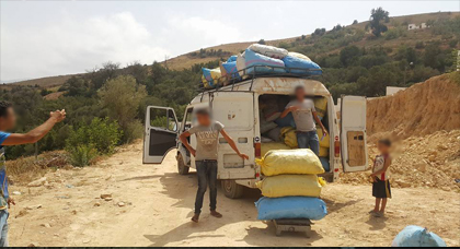 ثمار شجرة الخروب مدخول إضافي لعدد من الفلاحين بقرى الريف و تجار يبيعونها لشركات في مدن الداخل ثمار شجرة الخروب مدخول إضافي لعدد من الفلاحين بقرى الريف و تجار يبيعونها لشركات في مدن الداخل