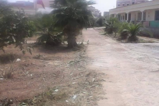 جمعية لحماية البيئة تدعو وزير التعليم إلى تدخل حازم في حق مدير أجهز على حديقة مدرسة عمومية بالناظور جمعية لحماية البيئة تدعو وزير التعليم إلى تدخل حازم في حق مدير أجهز على حديقة مدرسة عمومية بالناظور