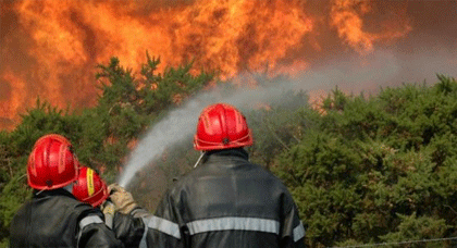 حريق غابة "بوعاصم" إلتهم ثلاث هكتارات من النباتات الغابوية بالناظور