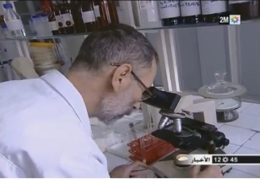 بالفيديو.. خبراء يخضعون "الشعرية" الصينية لتحليلات دقيقة وهذه هي النتائج بالفيديو.. خبراء يخضعون "الشعرية" الصينية لتحليلات دقيقة وهذه هي النتائج