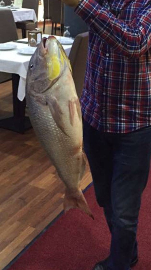 مطعم "لوريانت دور" الفاخر بالناظور يوفر أكلة "البايا" كل يوم ووجبة "الكسكس" كل جمعة مطعم "لوريانت دور" الفاخر بالناظور يوفر أكلة "البايا" كل يوم ووجبة "الكسكس" كل جمعة