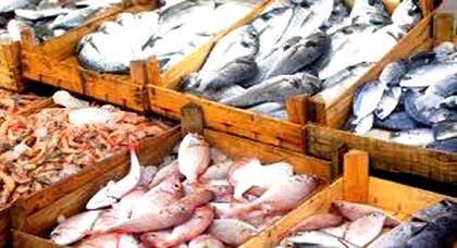 الدريوش.. ارتفاع أسعار السمك بالسوق الأسبوعي يثير تساؤلات مواطنين حول الأسباب