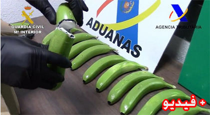 الشرطة الإسبانية تعثر على 17 كلغ من الكوكايين مخبأة داخل ثمار الموز