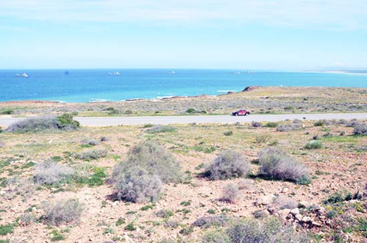 أرض للبيع بموقع إستراتيجي على الطريق الساحلي قرب ميناء غرب المتوسط بثمن جد مناسب أرض للبيع بموقع إستراتيجي على الطريق الساحلي قرب ميناء غرب المتوسط بثمن جد مناسب