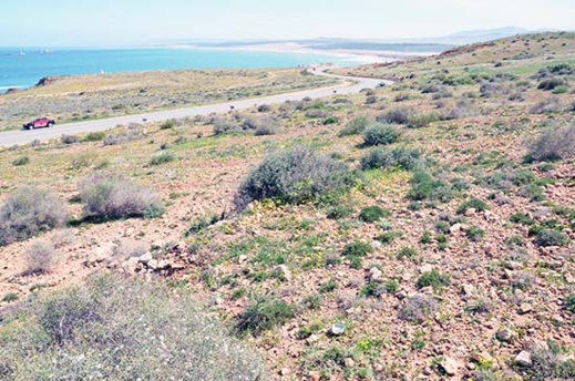 أرض للبيع بموقع إستراتيجي على الطريق الساحلي قرب ميناء غرب المتوسط بثمن جد مناسب 