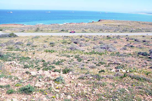 أرض للبيع بموقع إستراتيجي على الطريق الساحلي قرب ميناء غرب المتوسط بثمن جد مناسب أرض للبيع بموقع إستراتيجي على الطريق الساحلي قرب ميناء غرب المتوسط بثمن جد مناسب