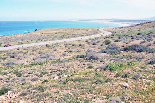 أرض للبيع بموقع إستراتيجي على الطريق الساحلي قرب ميناء غرب المتوسط بثمن جد مناسب 