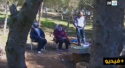 بالفيديو.. غابة بوجيبار باقليم الحسيمة متنفس طبيعي يستهوي العائلات بالفيديو.. غابة بوجيبار باقليم الحسيمة متنفس طبيعي يستهوي العائلات
