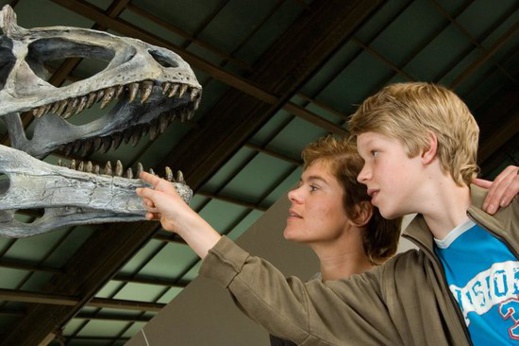 صور.. أفضل الوجهات السياحية في العاصمة البلجيكية بروكسل صور.. أفضل الوجهات السياحية في العاصمة البلجيكية بروكسل