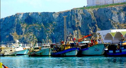بعد إحتجاجاتهم على "النيكرو".. أخنوش يهدئ بحارة الريف بعد إحتجاجاتهم على "النيكرو".. أخنوش يهدئ بحارة الريف
