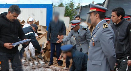 مخزن للمشروبات الغازية يتعرض لسرقة 13 مليون وأمن الدريوش يستنفر محققيه للوصول إلى السارق مخزن للمشروبات الغازية يتعرض لسرقة 13 مليون وأمن الدريوش يستنفر محققيه للوصول إلى السارق