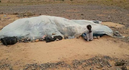 سيدة سورية تضع حملها في العراء على الحدود الشرقية تثير موجة سخط عارمة في أوساط المواطنين