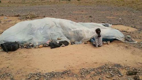 بالصور.. عائلة سورية تعيش وسط العراء على الحدود المغربية الجزائرية