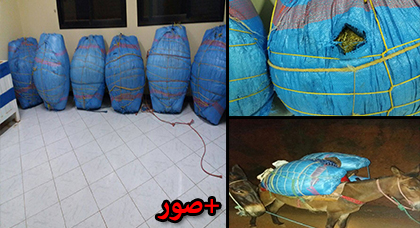 عناصر الجمارك تحجز كمية مهمة من مخدر "الكِيفْ" سنابل كانت على متن دَابتين ببلدة أمزاورو نواحي تمسمان عناصر الجمارك تحجز كمية مهمة من مخدر "الكِيفْ" سنابل كانت على متن دَابتين ببلدة أمزاورو نواحي تمسمان
