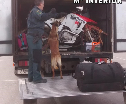 شرطة ألميريا تعثر على أربعة مهاجرين سريين داخل شاحنة محملة بدراجات السباق قادمة من بني نصار شرطة ألميريا تعثر على أربعة مهاجرين سريين داخل شاحنة محملة بدراجات السباق قادمة من بني نصار