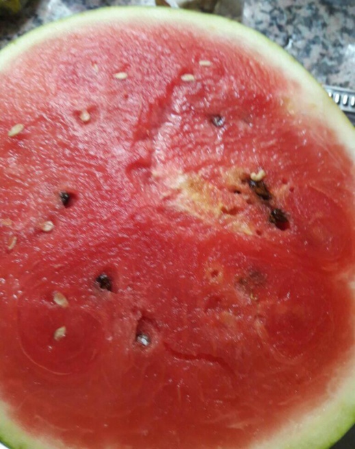 بعد إتهامات بتسميده بالبراز البشري.. انتشار صور للدلاح المغربي يغزوه الدود الأبيض بعد إتهامات بتسميده بالبراز البشري.. انتشار صور للدلاح المغربي يغزوه الدود الأبيض