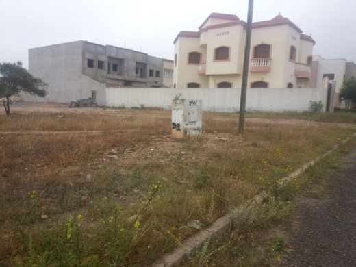 بقعة أرضية للبيع في موقع إستراتيجي بحي صوناسيد مخصصة لبناء الفيلات بقعة أرضية للبيع في موقع إستراتيجي بحي صوناسيد مخصصة لبناء الفيلات