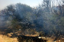 إندلاع حريق وسط أشجار الزيون بسلوان إندلاع حريق وسط أشجار الزيون بسلوان