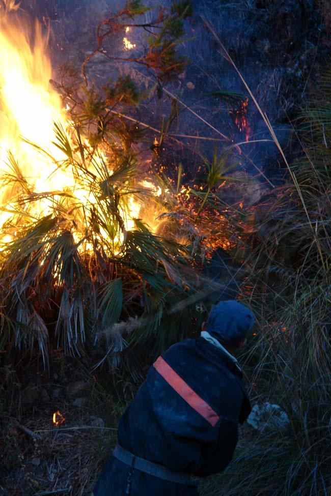 النيران تلتهم أزيد من 200 هكتار من القطاع الغابوي لجبال كبدانة النيران تلتهم أزيد من 200 هكتار من القطاع الغابوي لجبال كبدانة