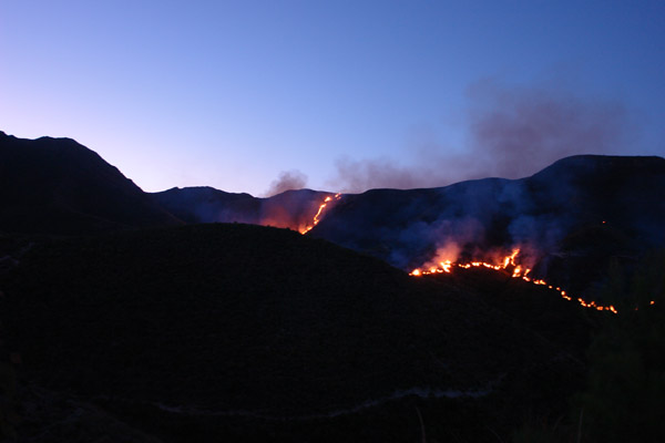 النيران تلتهم أزيد من 200 هكتار من القطاع الغابوي لجبال كبدانة النيران تلتهم أزيد من 200 هكتار من القطاع الغابوي لجبال كبدانة